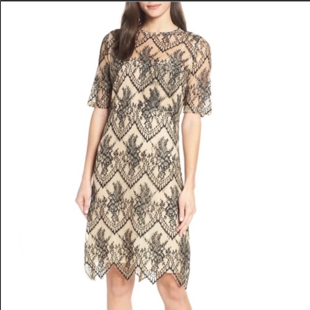 COPY - NWT-CAARA-SCALLOPED HEM LACE SHEATH DRESS …